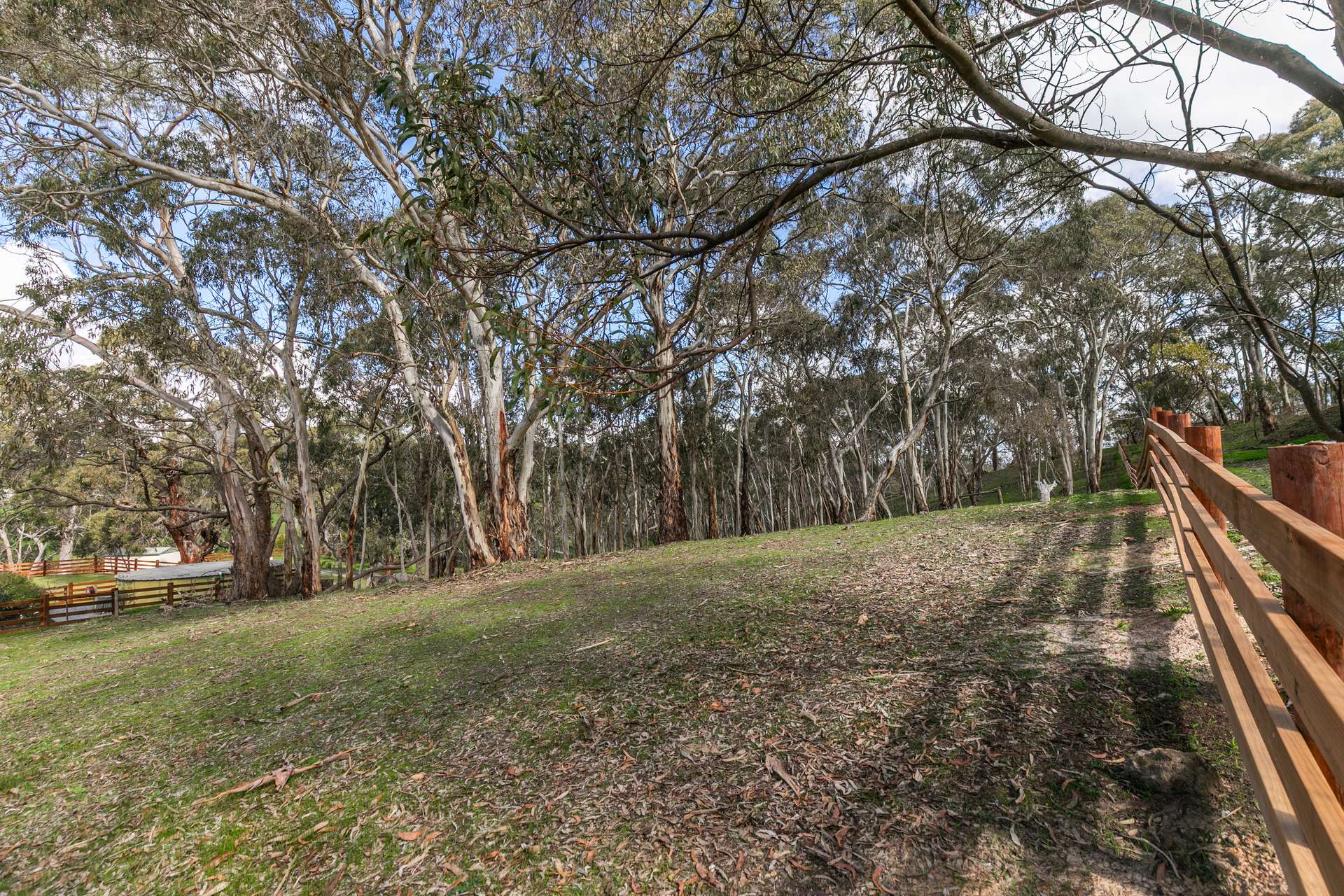 144 Darby Road, Echunga Sold by Farmbuy.com - image 33
