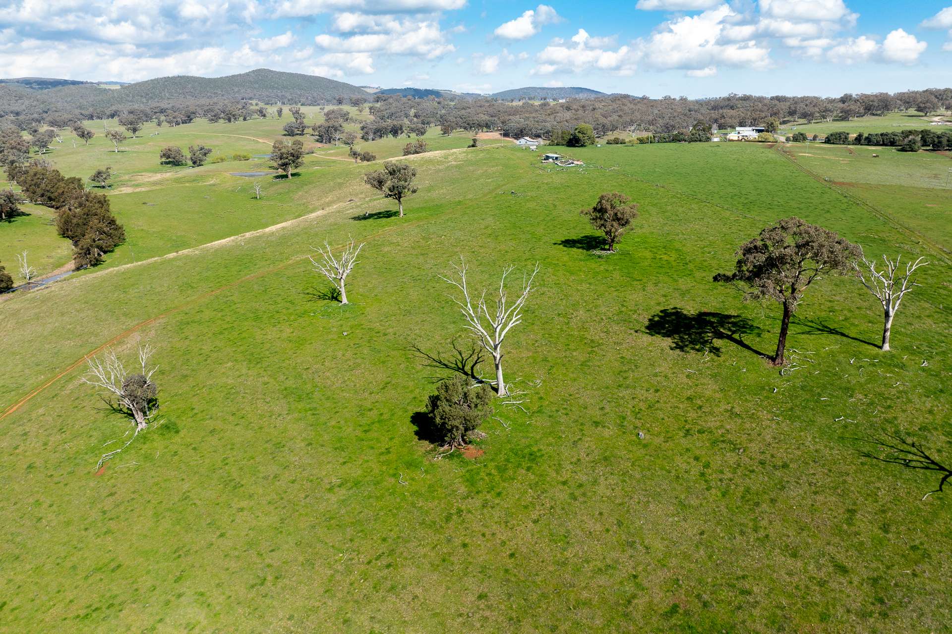289 Paling Yards Loop, Bowan Park For Sale by Farmbuy.com - image 6