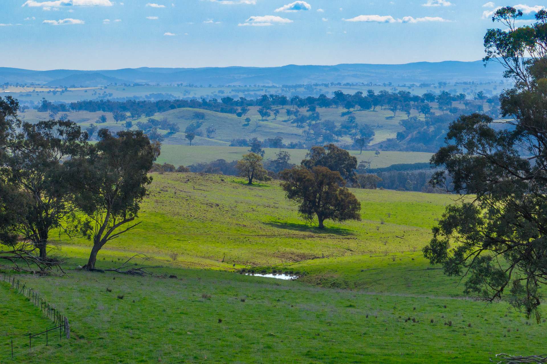 289 Paling Yards Loop, Bowan Park For Sale by Farmbuy.com - image 21