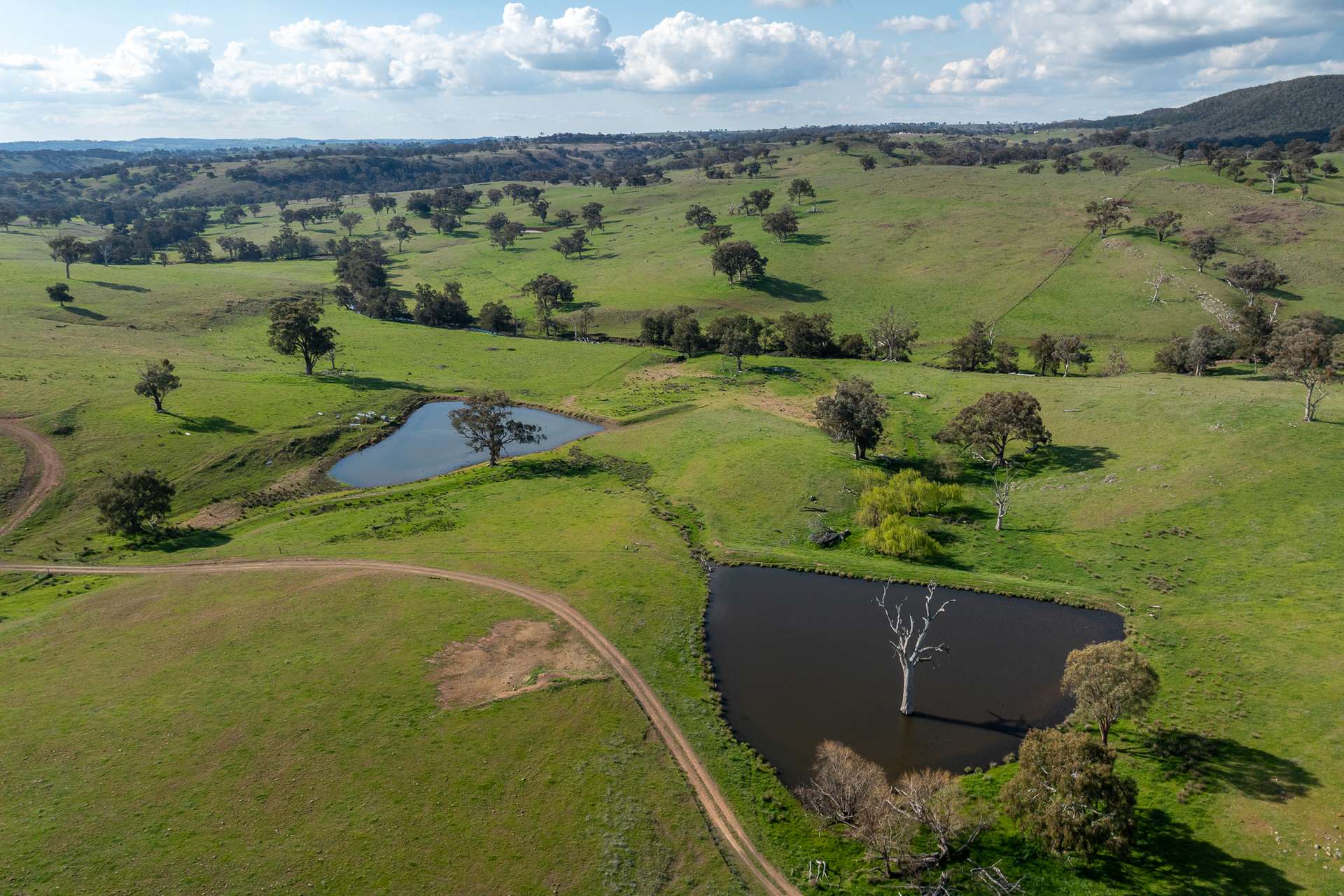 289 Paling Yards Loop, Bowan Park For Sale by Farmbuy.com - image 1