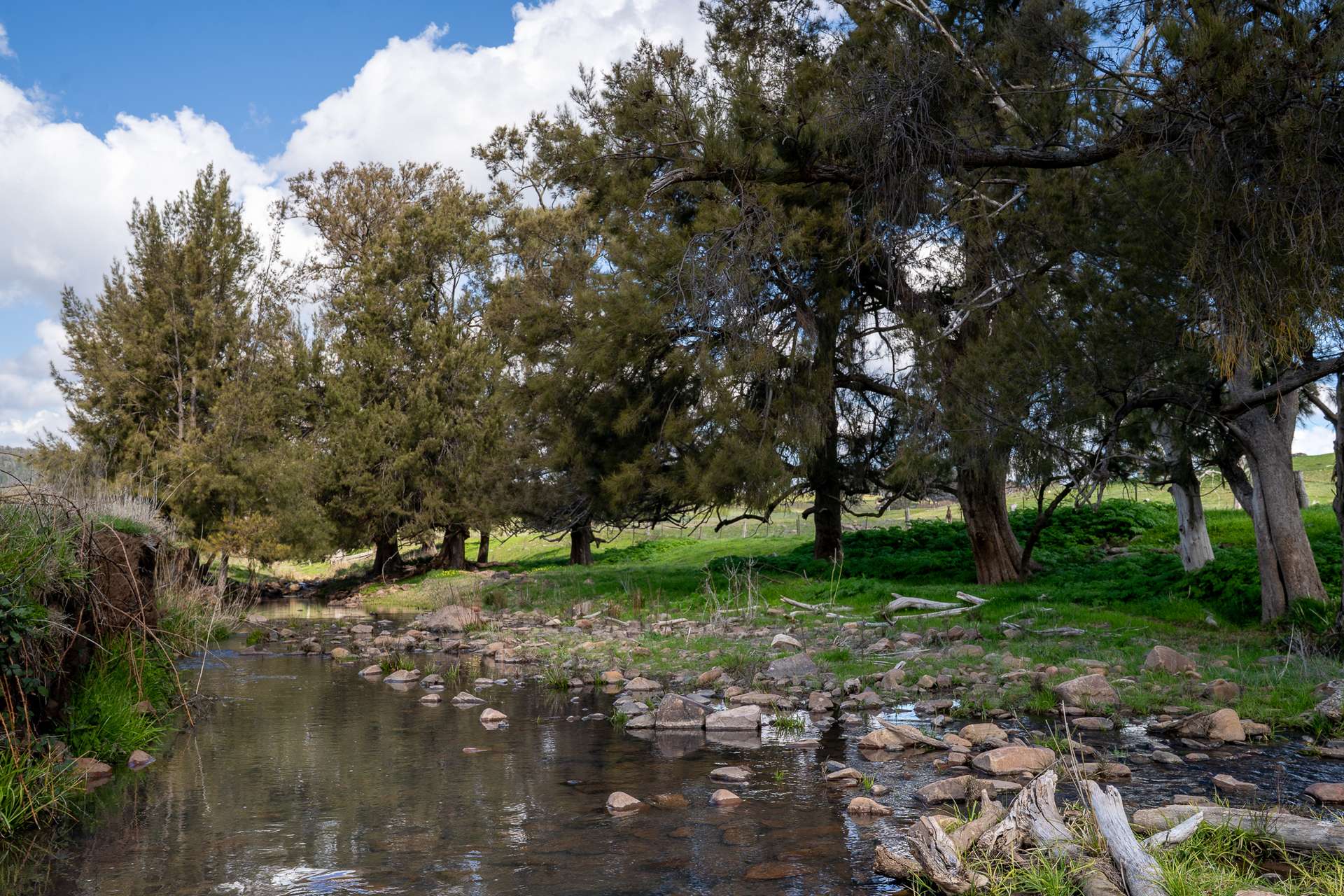 289 Paling Yards Loop, Bowan Park For Sale by Farmbuy.com - image 8