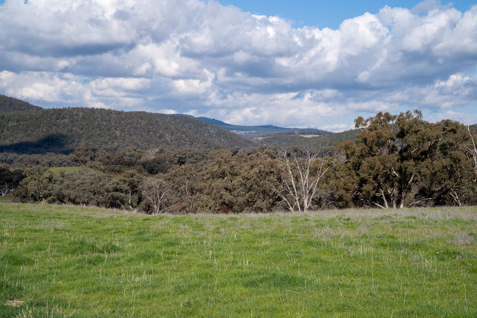 289 Paling Yards Loop, Bowan Park For Sale by Farmbuy.com - image 15