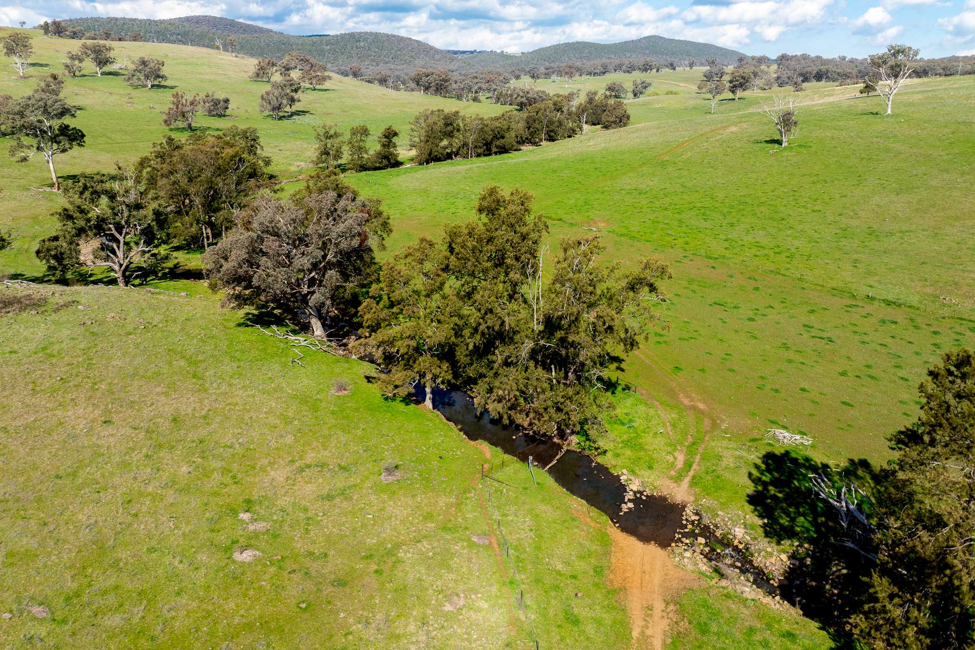 289 Paling Yards Loop, Bowan Park For Sale by Farmbuy.com - image 5