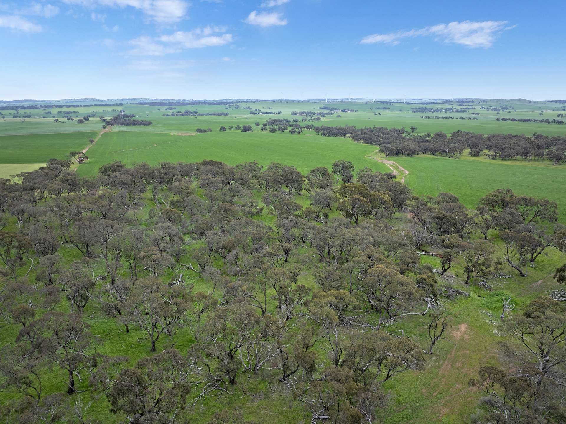 'Knowlings' Williams Road, Tothill Creek Sold by Farmbuy.com - image 9