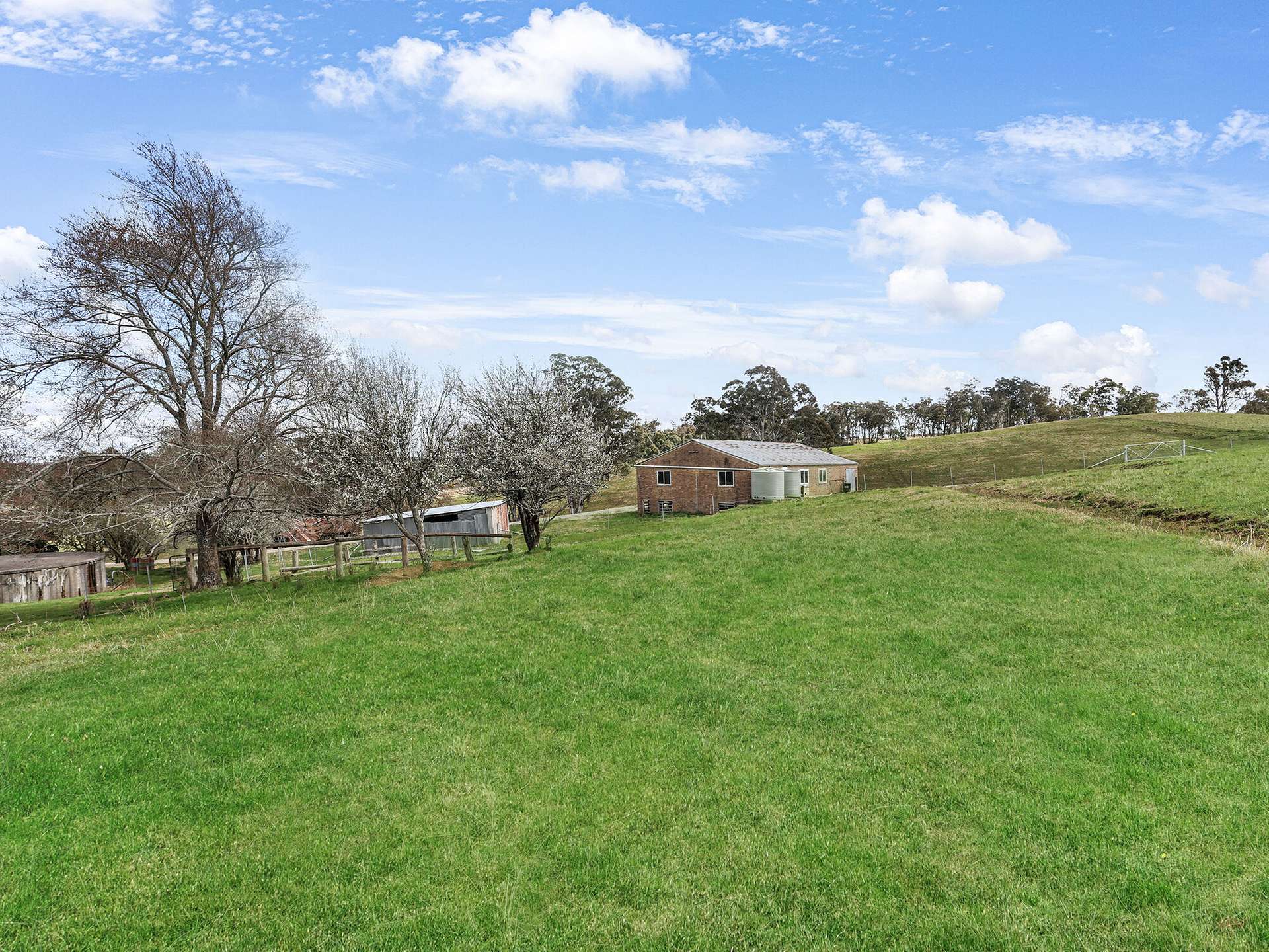 60 Wanganderry Road, High Range For Sale by Farmbuy.com - image 10
