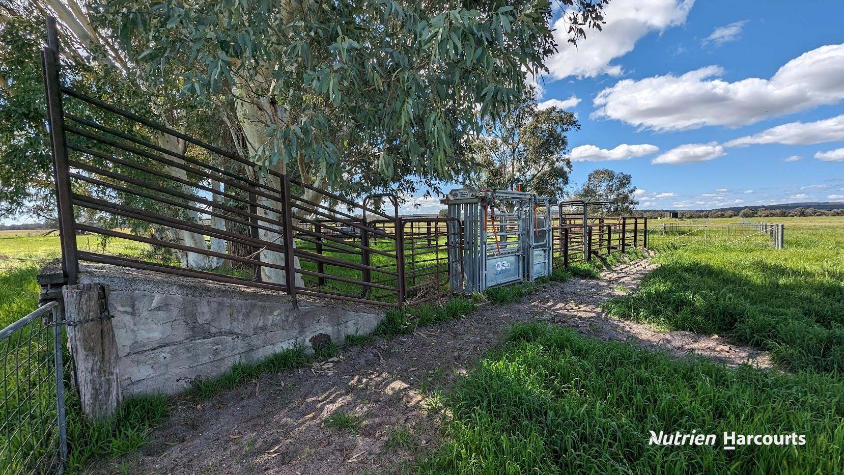 1298 Brand Highway, Chittering For Sale by Farmbuy.com - image 22