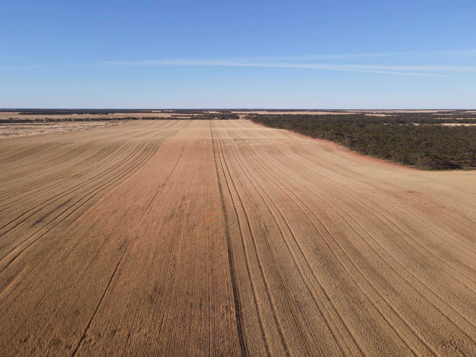 Allotment 2 New Well Road, Waikerie For Sale by Farmbuy.com - image 3
