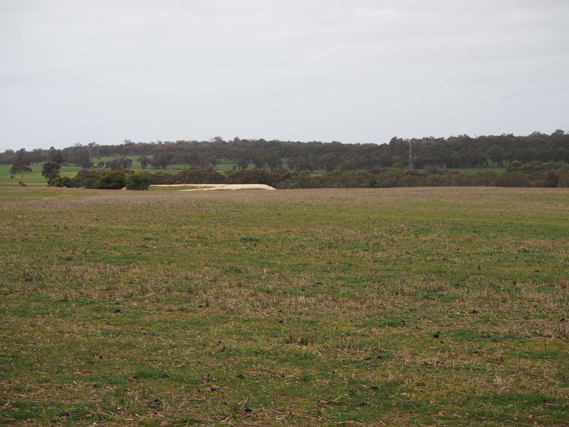 Dowrene Farm, Cnr Yerriminup And Yarralena Roads, Cranbrook For Sale by Farmbuy.com - image 6