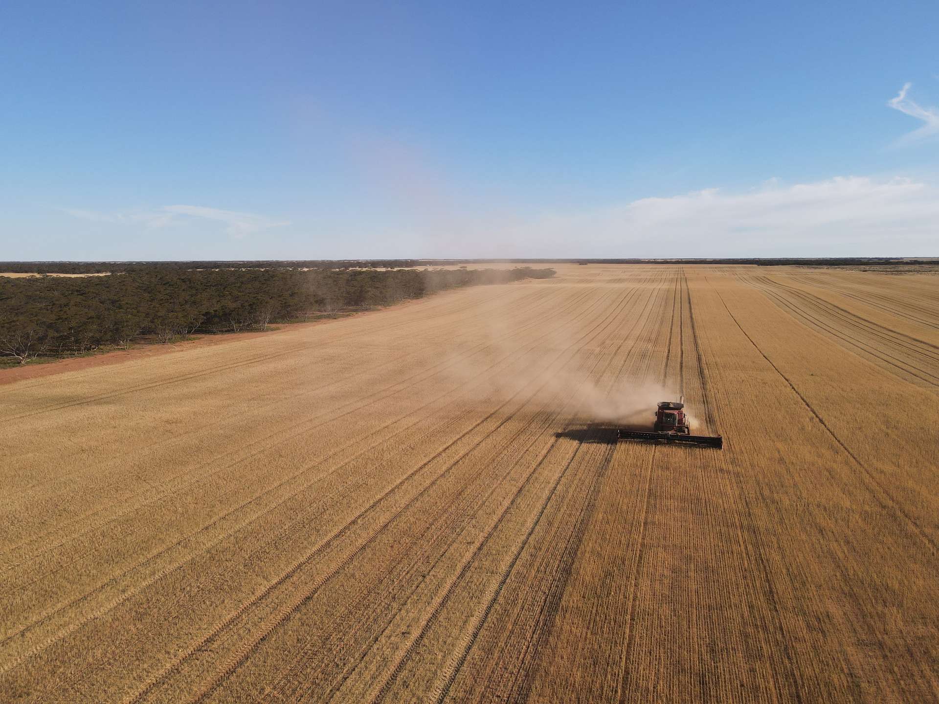 1719 New Well Road, Waikerie For Sale by Farmbuy.com - image 15