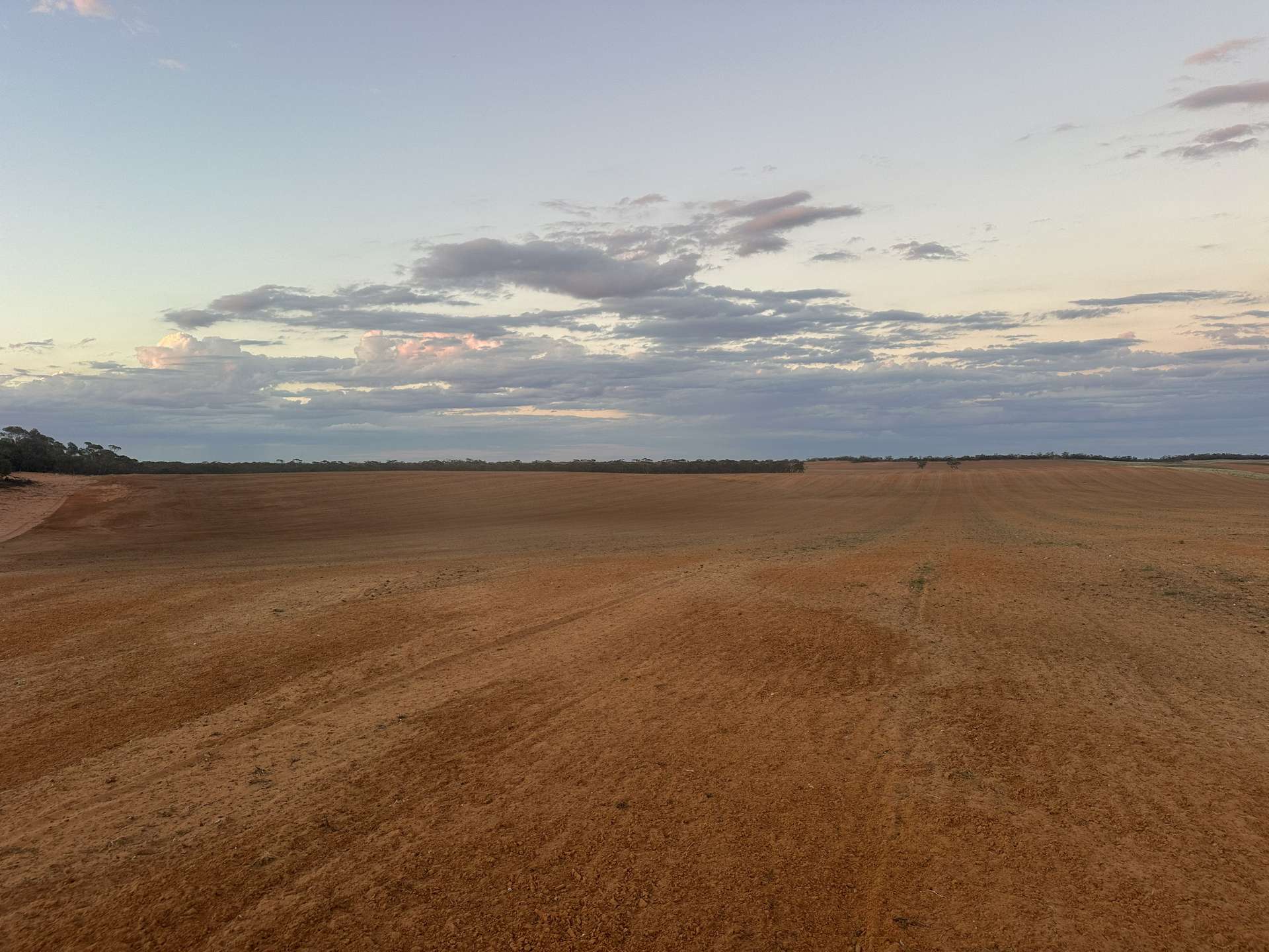 1719 New Well Road, Waikerie For Sale by Farmbuy.com - image 9