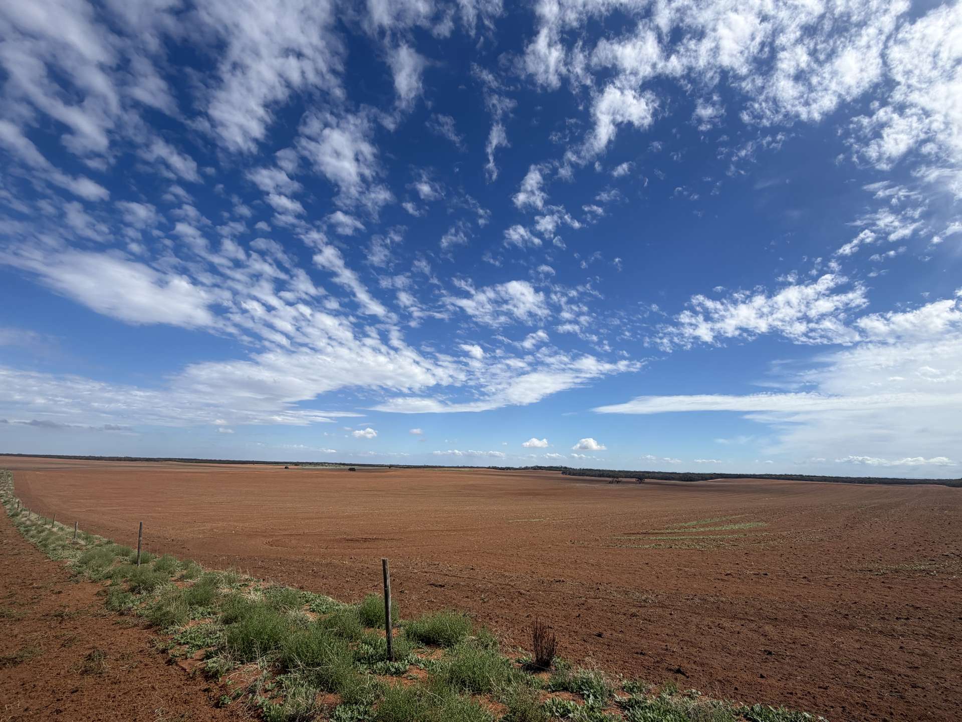 1719 New Well Road, Waikerie For Sale by Farmbuy.com - image 6