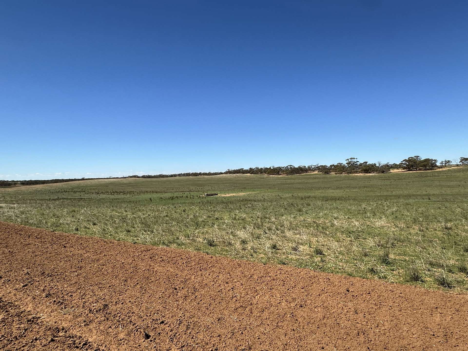 1719 New Well Road, Waikerie For Sale by Farmbuy.com - image 11