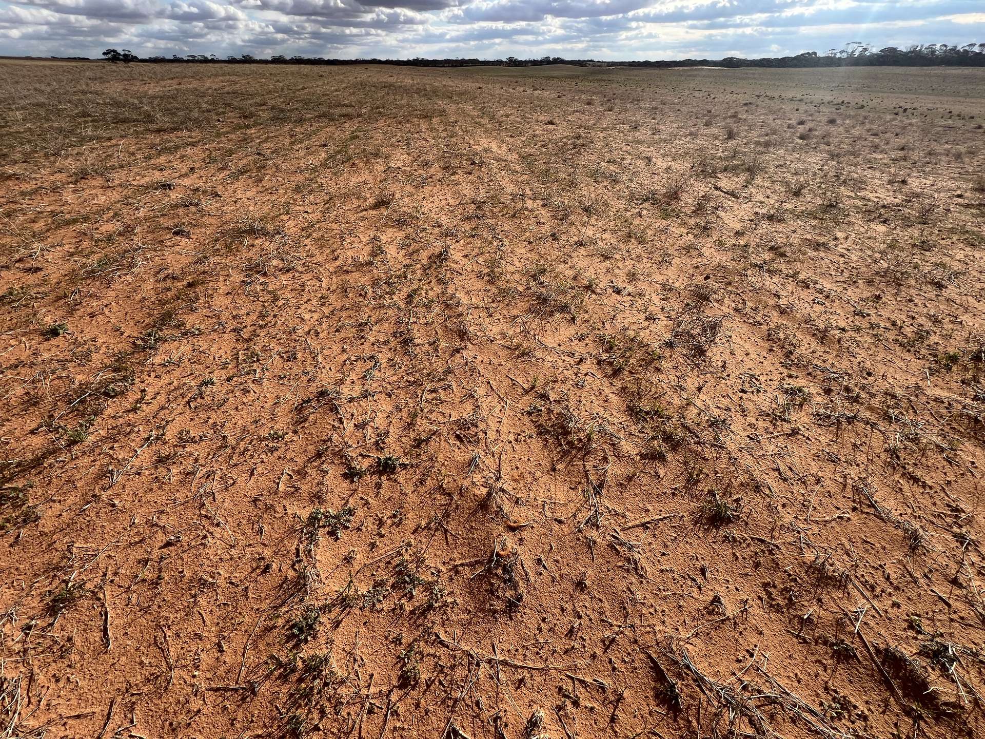 1719 New Well Road, Waikerie For Sale by Farmbuy.com - image 17