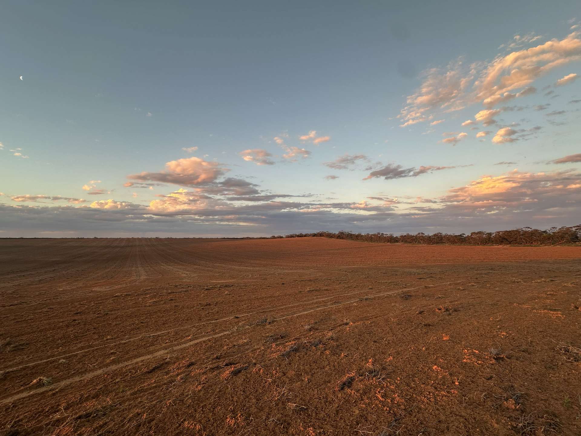 1719 New Well Road, Waikerie For Sale by Farmbuy.com - image 10
