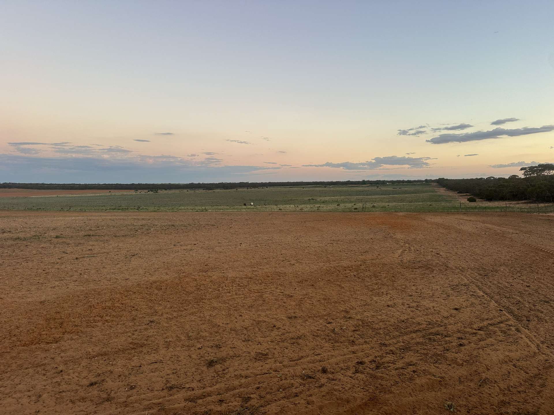 1719 New Well Road, Waikerie For Sale by Farmbuy.com - image 8