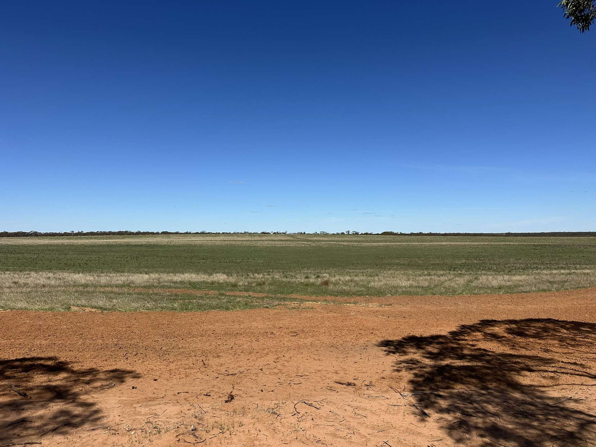 1719 New Well Road, Waikerie For Sale by Farmbuy.com - image 12