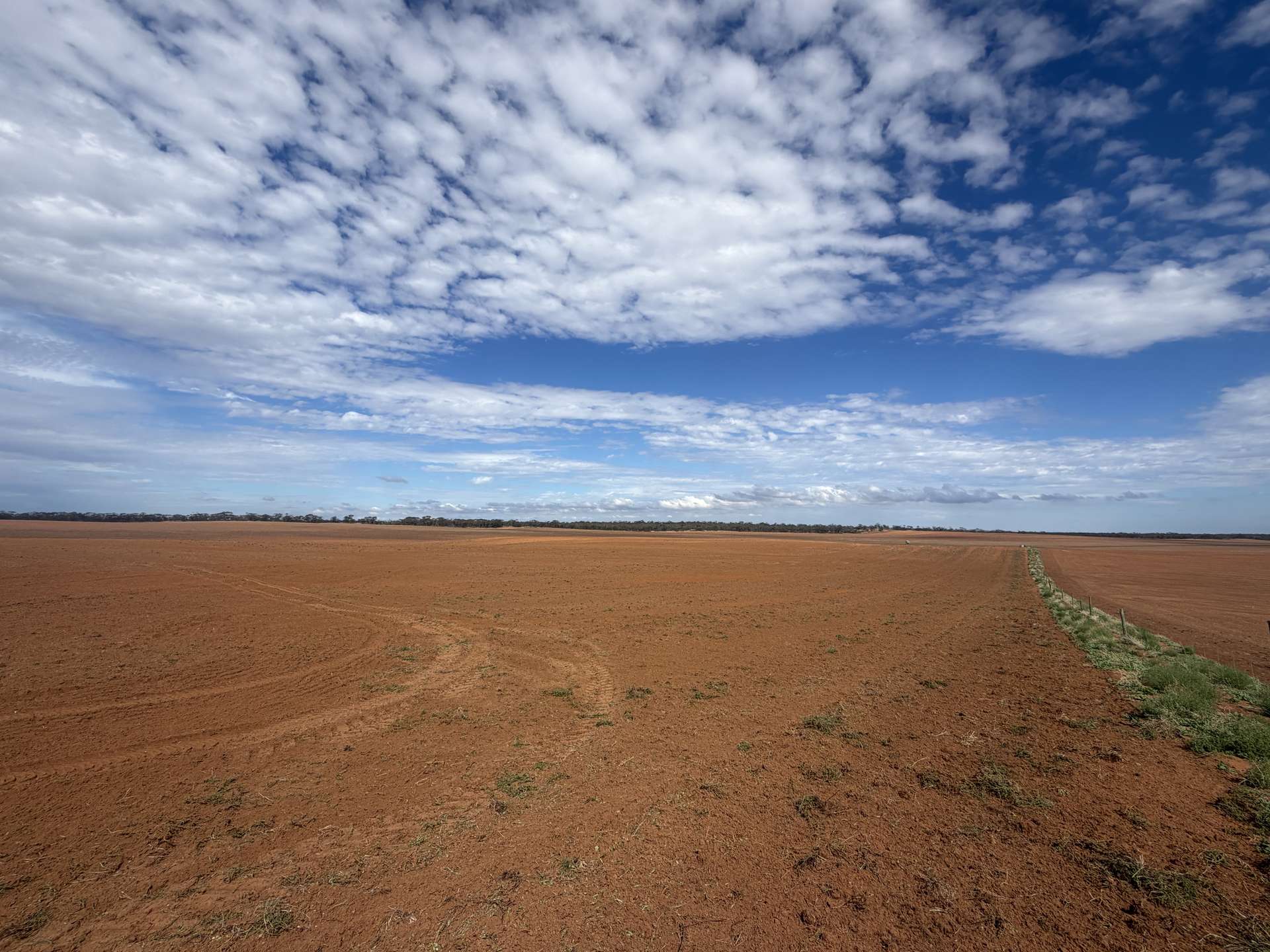 1719 New Well Road, Waikerie For Sale by Farmbuy.com - image 7