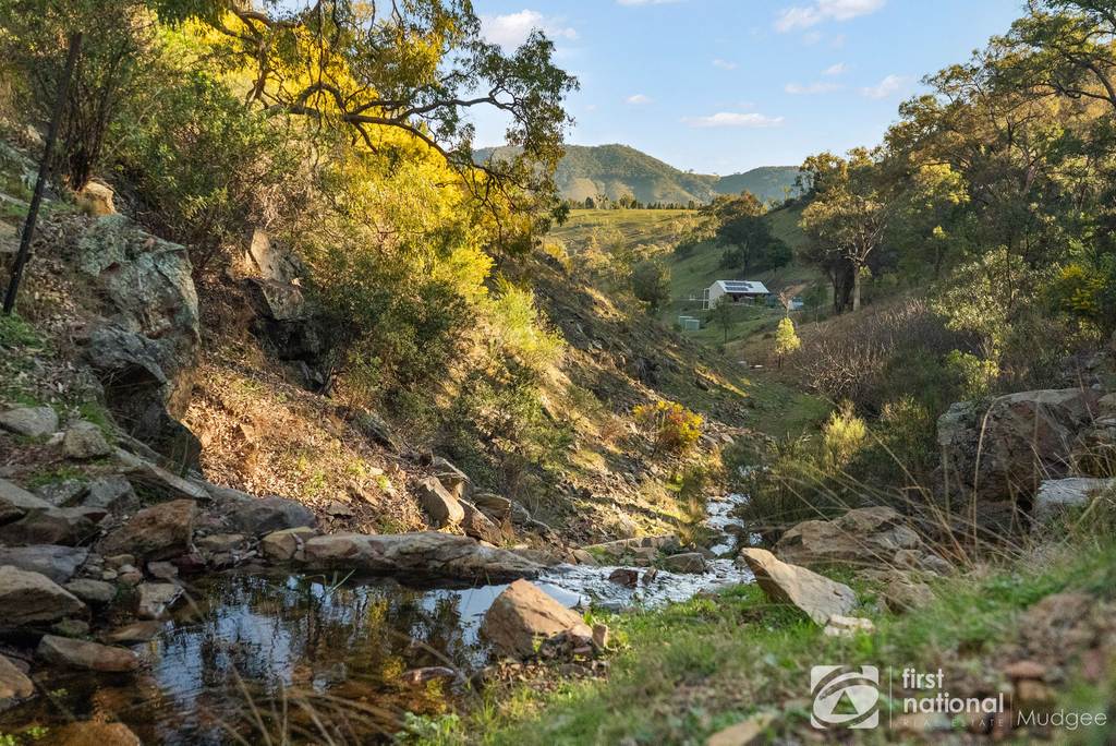 211 Riverlea Road (Riverlea), Mudgee NSW 2850