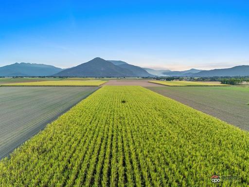 Farm Sold - QLD - Green Hill - 4865 - Fertile Cane Farm in Picturesque Location 