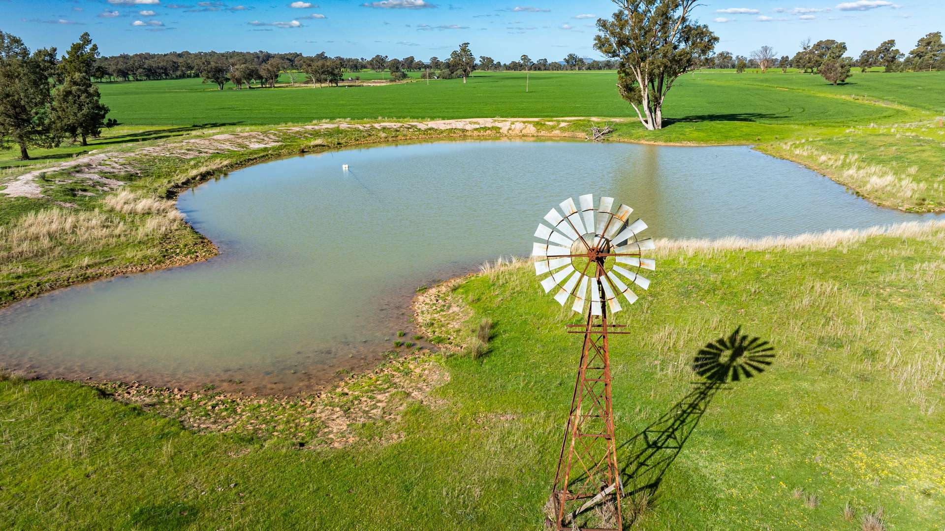 'Blossom Farm' Klemkes Road, Henty Sold by Farmbuy.com - image 30