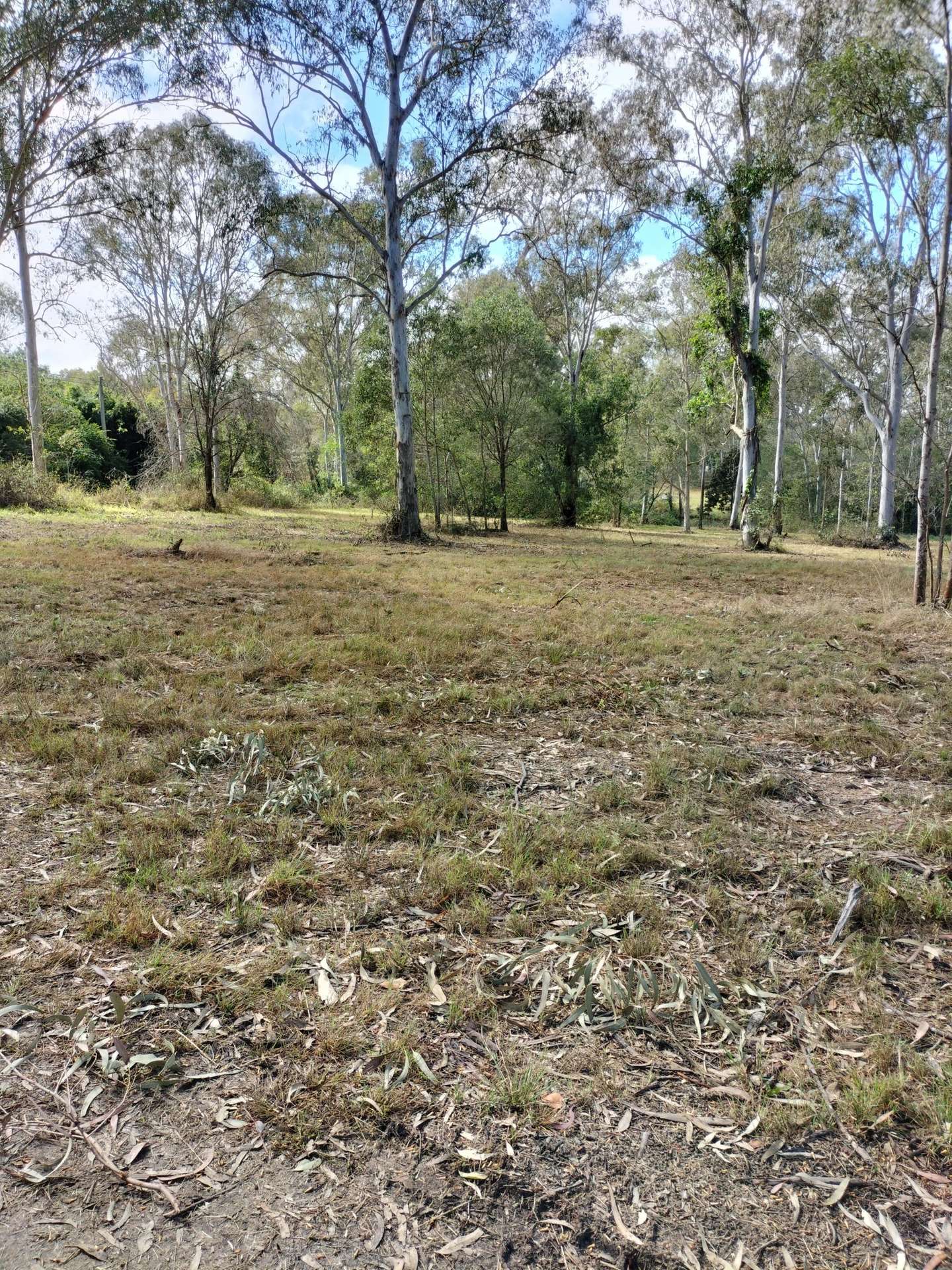 299 Begley Road, Greenbank For Sale by Farmbuy.com - image 24