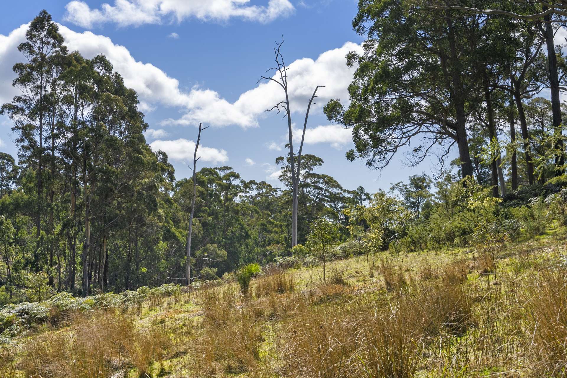 129 Littles Road, Premaydena For Sale by Farmbuy.com - image 32