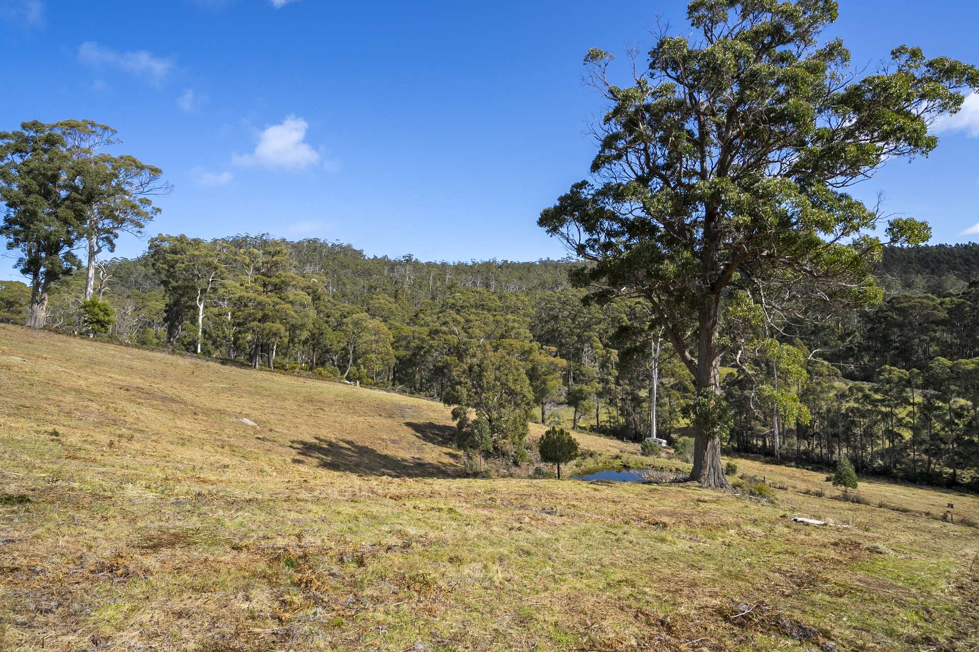 129 Littles Road, Premaydena For Sale by Farmbuy.com - image 20