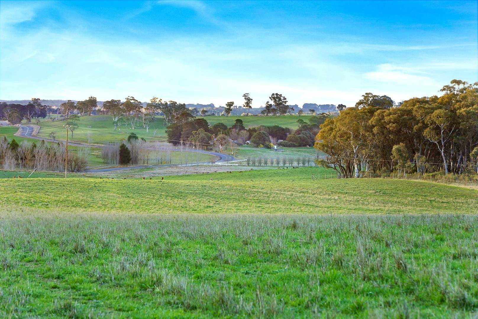 2884 Gurrundah Road, Gurrundah Sold by Farmbuy.com - image 4