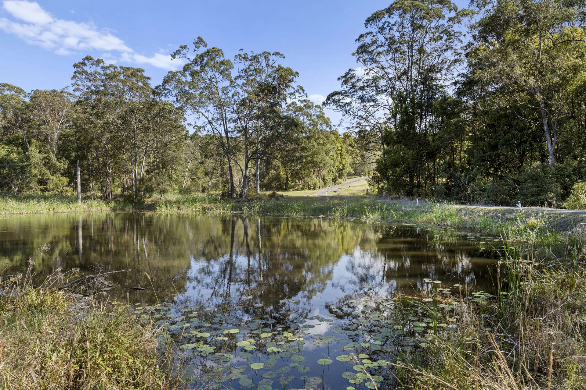 98 Robcole Road, Upper Duroby For Sale by Farmbuy.com - image 10