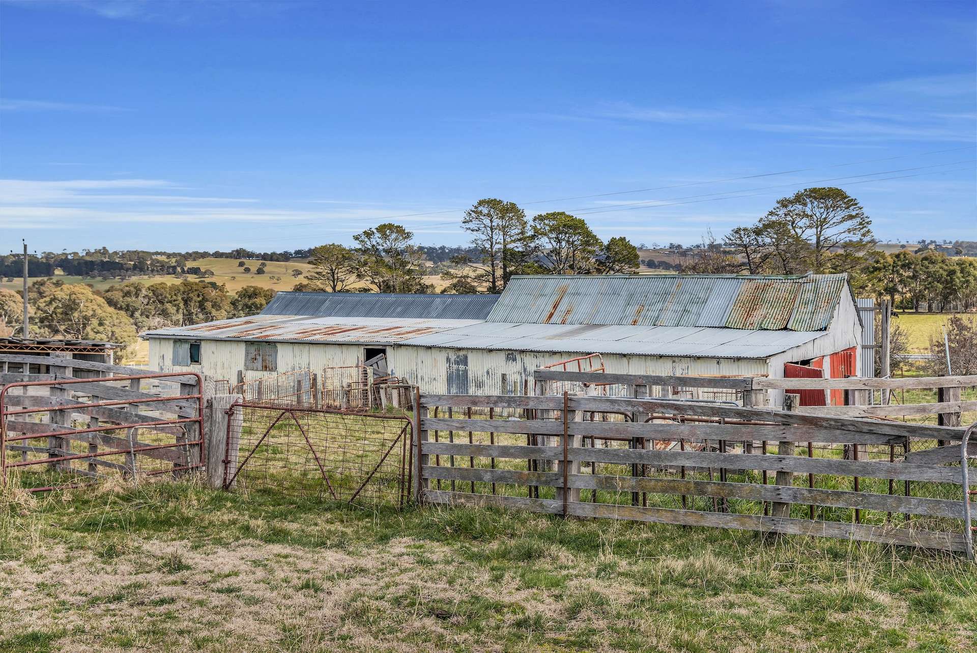 376 Monaro Highway, Bombala For Sale by Farmbuy.com - image 20