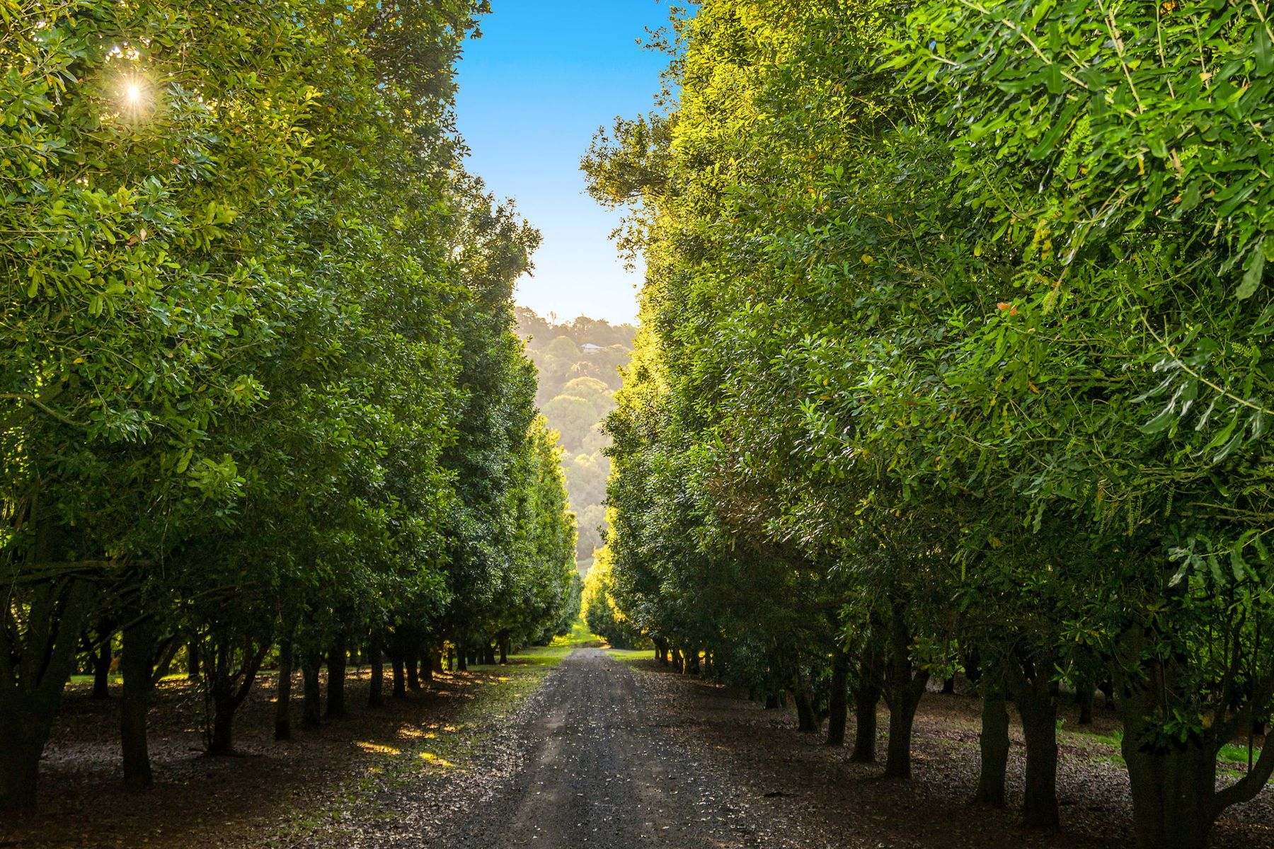 Eureka For Sale by Farmbuy.com - image 6