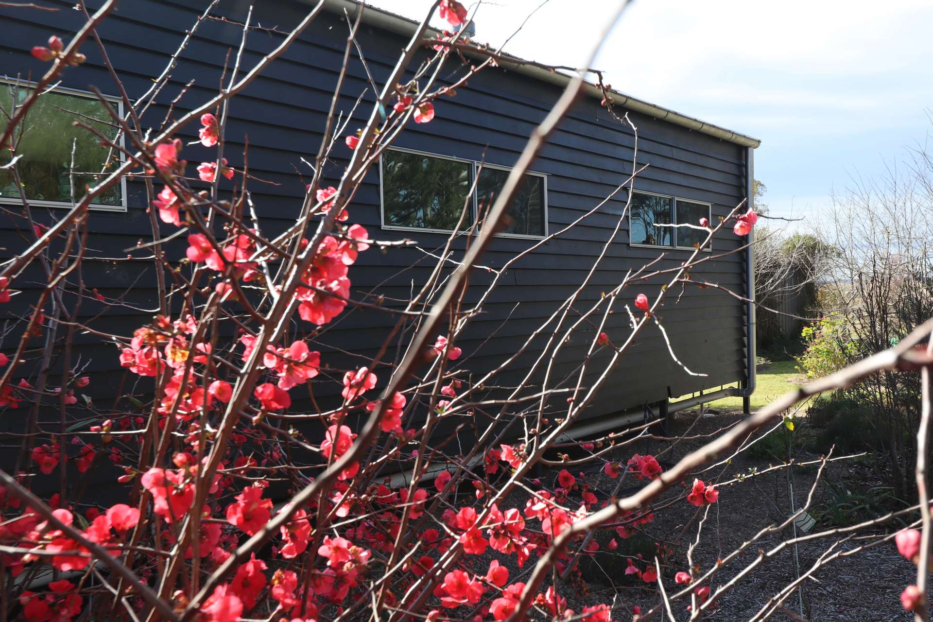 676 Bryans Gap Rd Tenterfield, Tenterfield Sold by Farmbuy.com - image 25