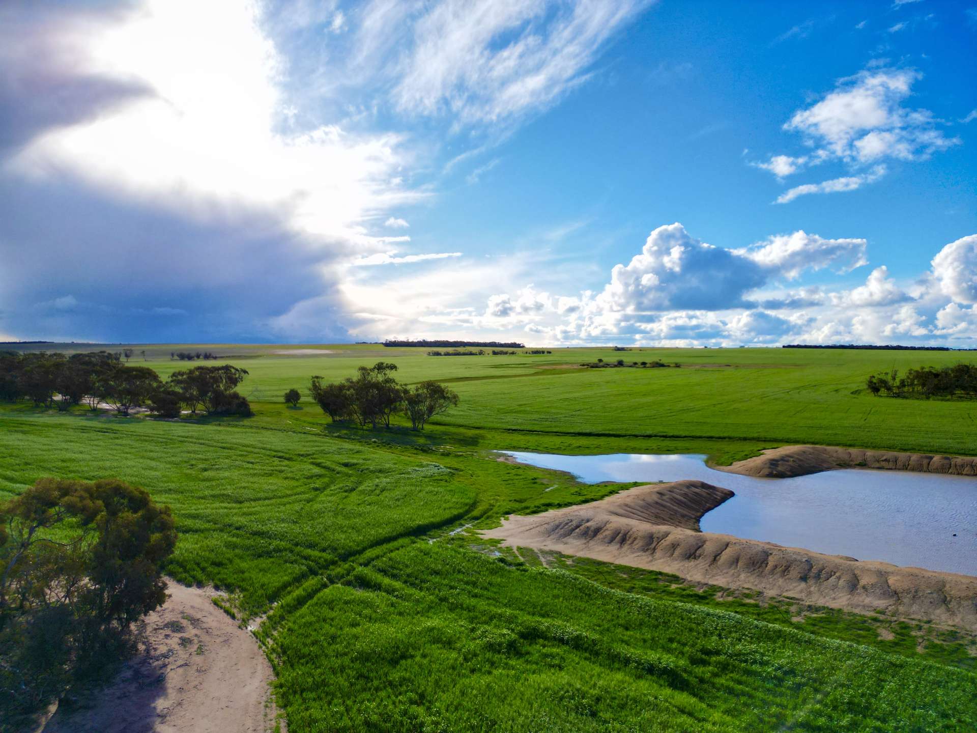 488 Allen Rock Road, Hyden Sold by Farmbuy.com - image 1