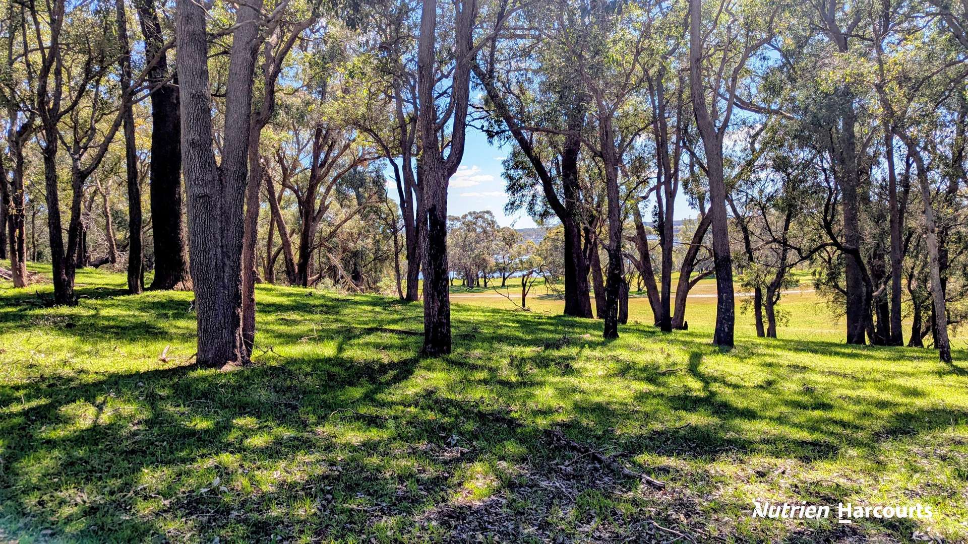Lot 53 Cowalla Road, Cowalla For Sale by Farmbuy.com - image 10