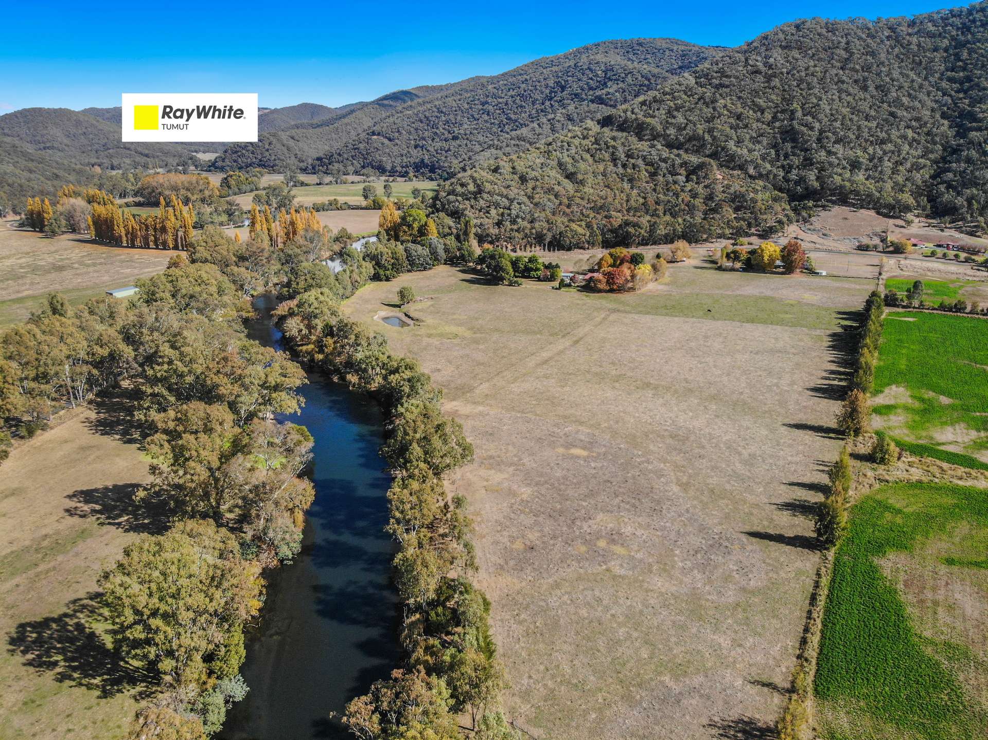 135 West Blowering Road, Tumut Sold by Farmbuy.com - image 1