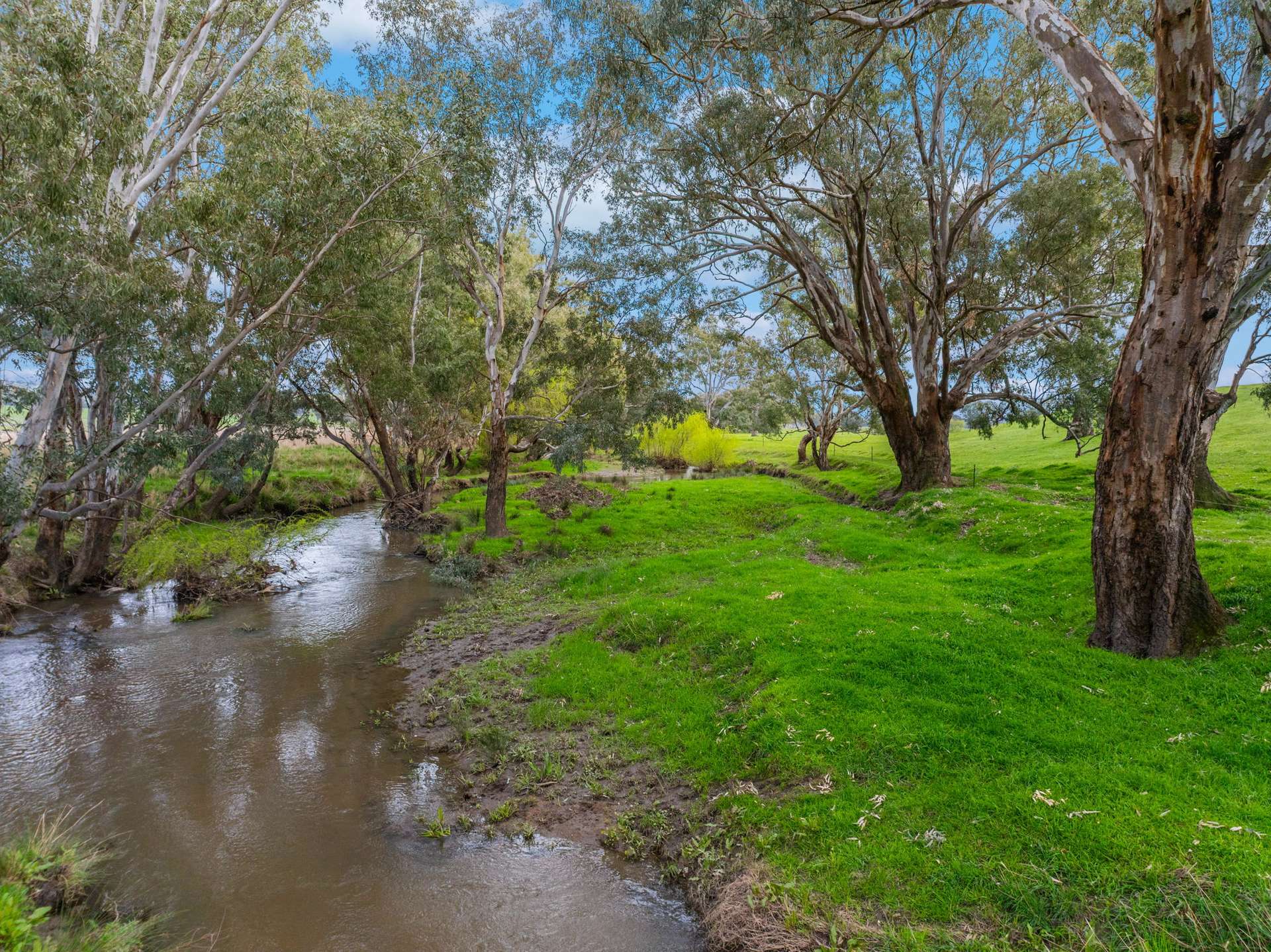 1701 Adelong Road, Gundagai Sold by Farmbuy.com - image 21