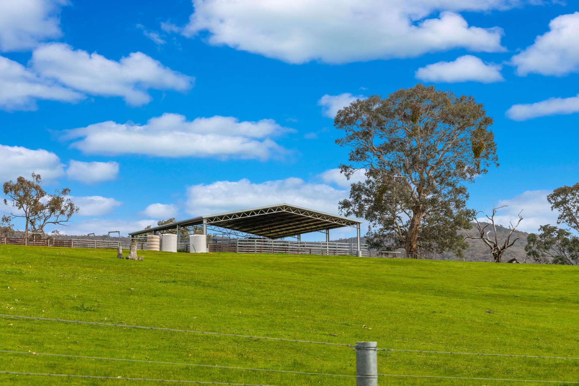 1701 Adelong Road, Gundagai Sold by Farmbuy.com - image 19