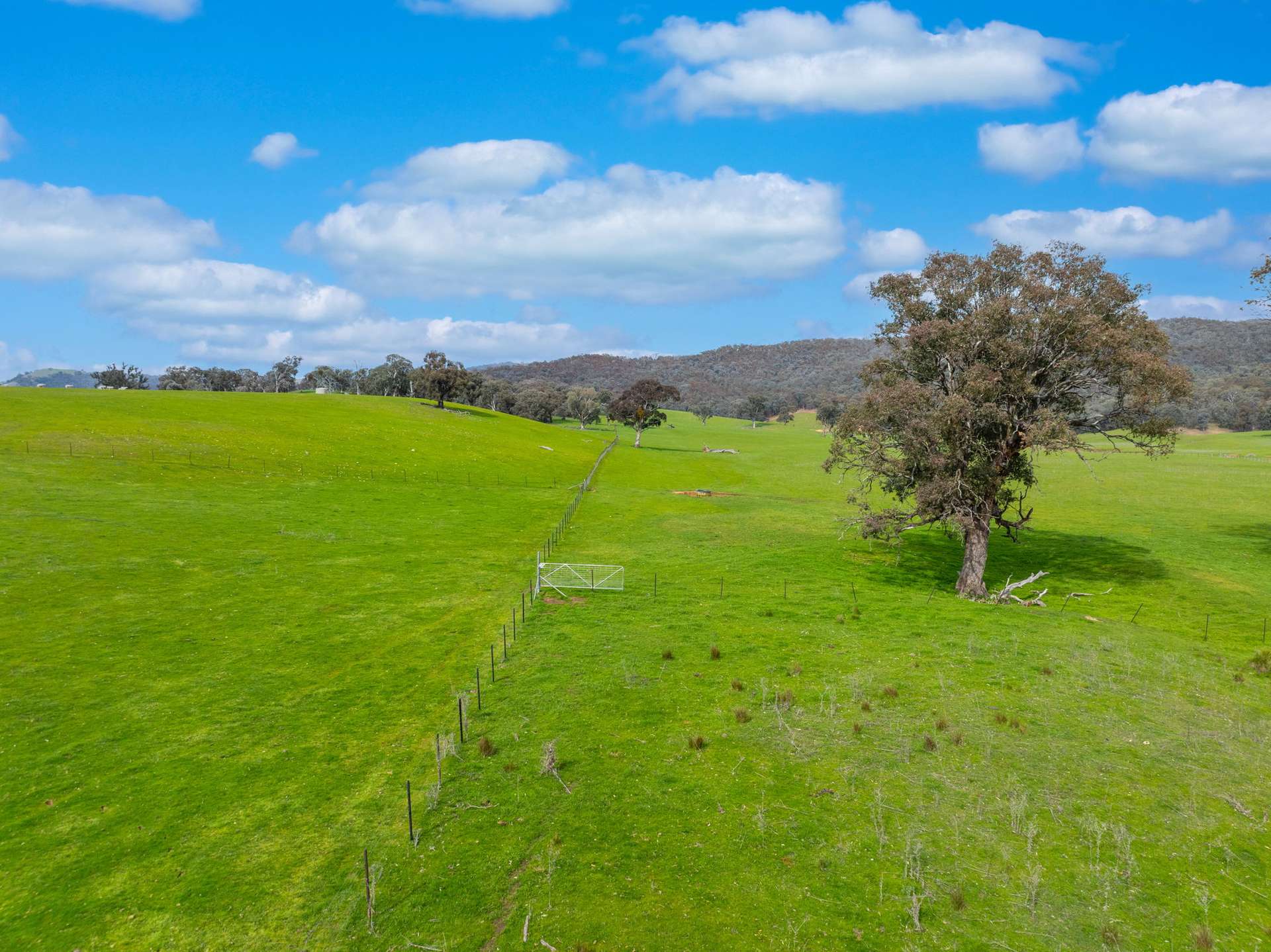 1701 Adelong Road, Gundagai Sold by Farmbuy.com - image 31