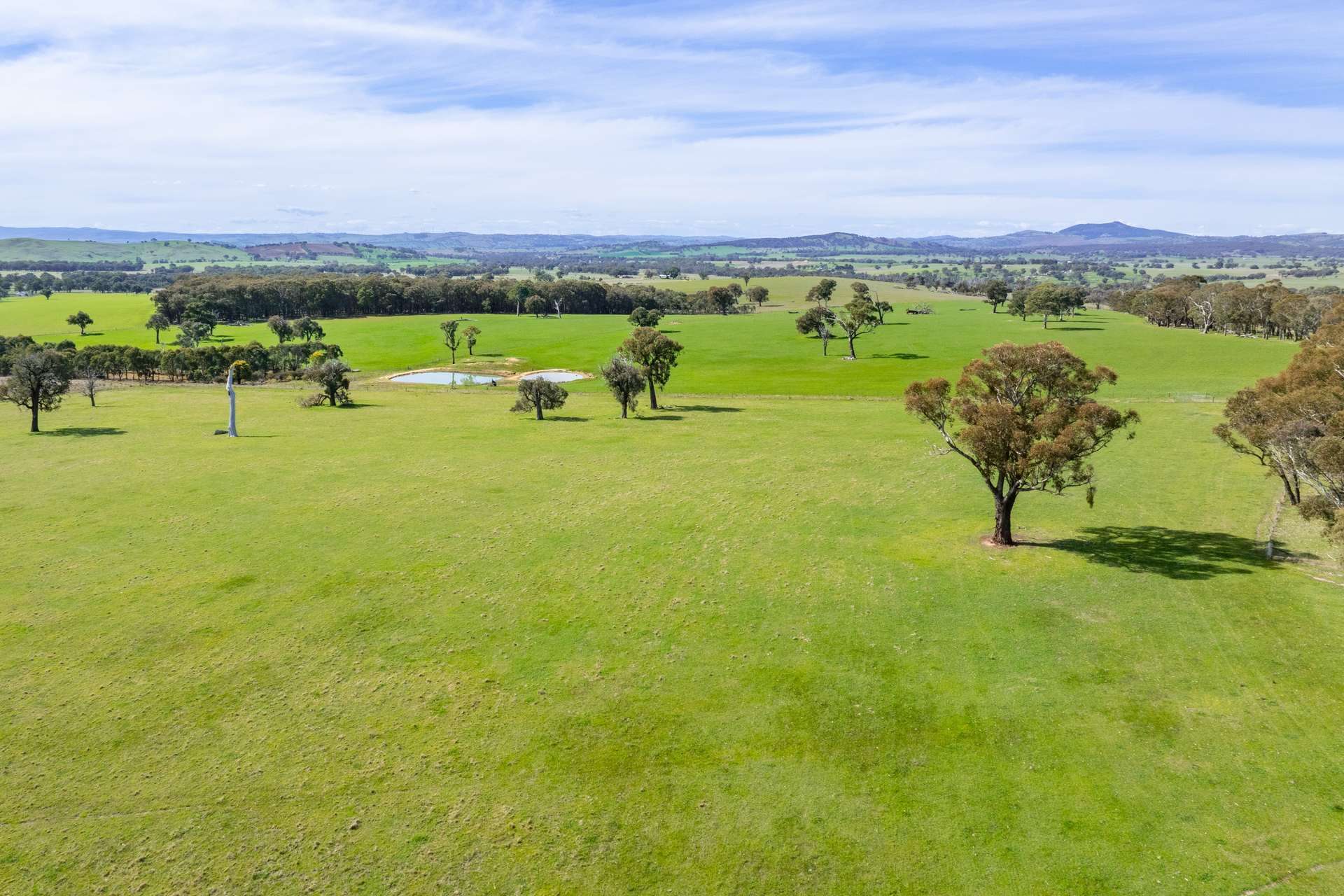200 Yangoora Road, Garland Sold by Farmbuy.com - image 25