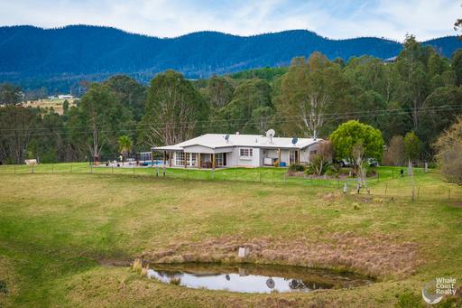 Farm Sold - NSW - Wandella - 2550 - Spacious 3-Bedroom Home with Pool on 14 Acres 