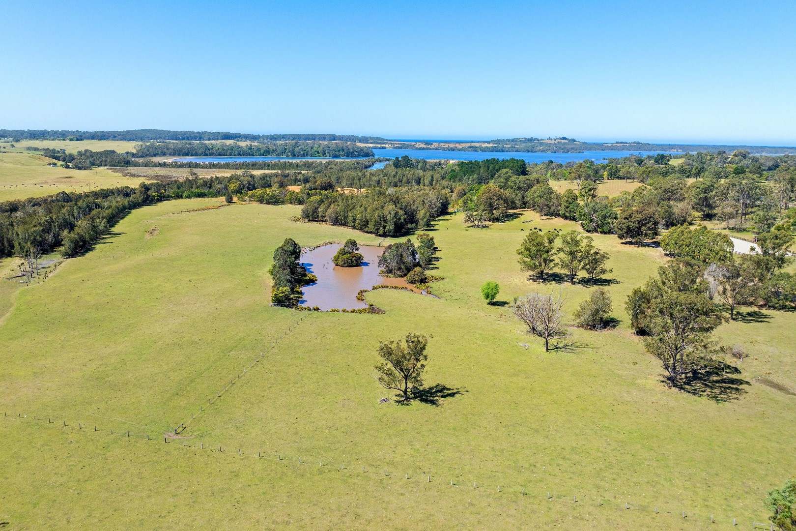 71 COILA CREEK ROAD, Coila Sold by Farmbuy.com - image 4