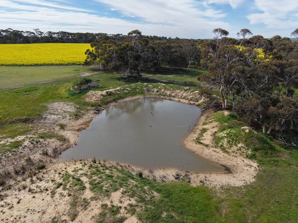 1182 Doodenanning - Mawson Road, Balkuling Sold by Farmbuy.com - image 29