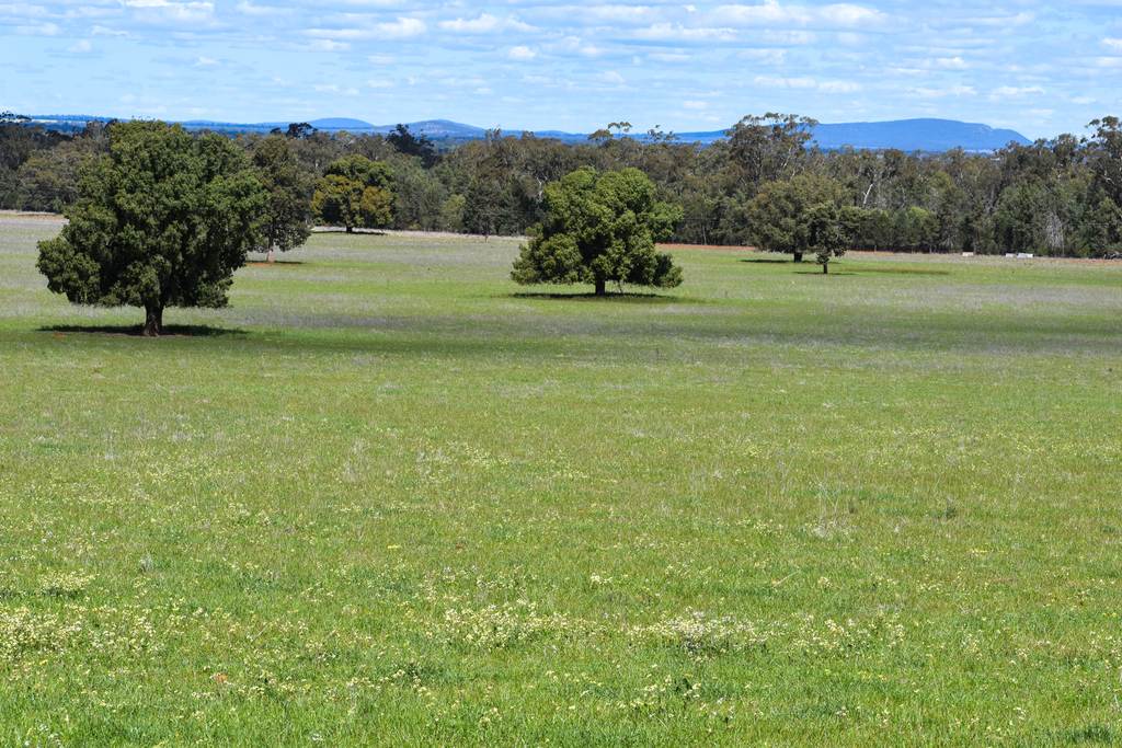 120 Melrose Plains Road, Fifield NSW 2875