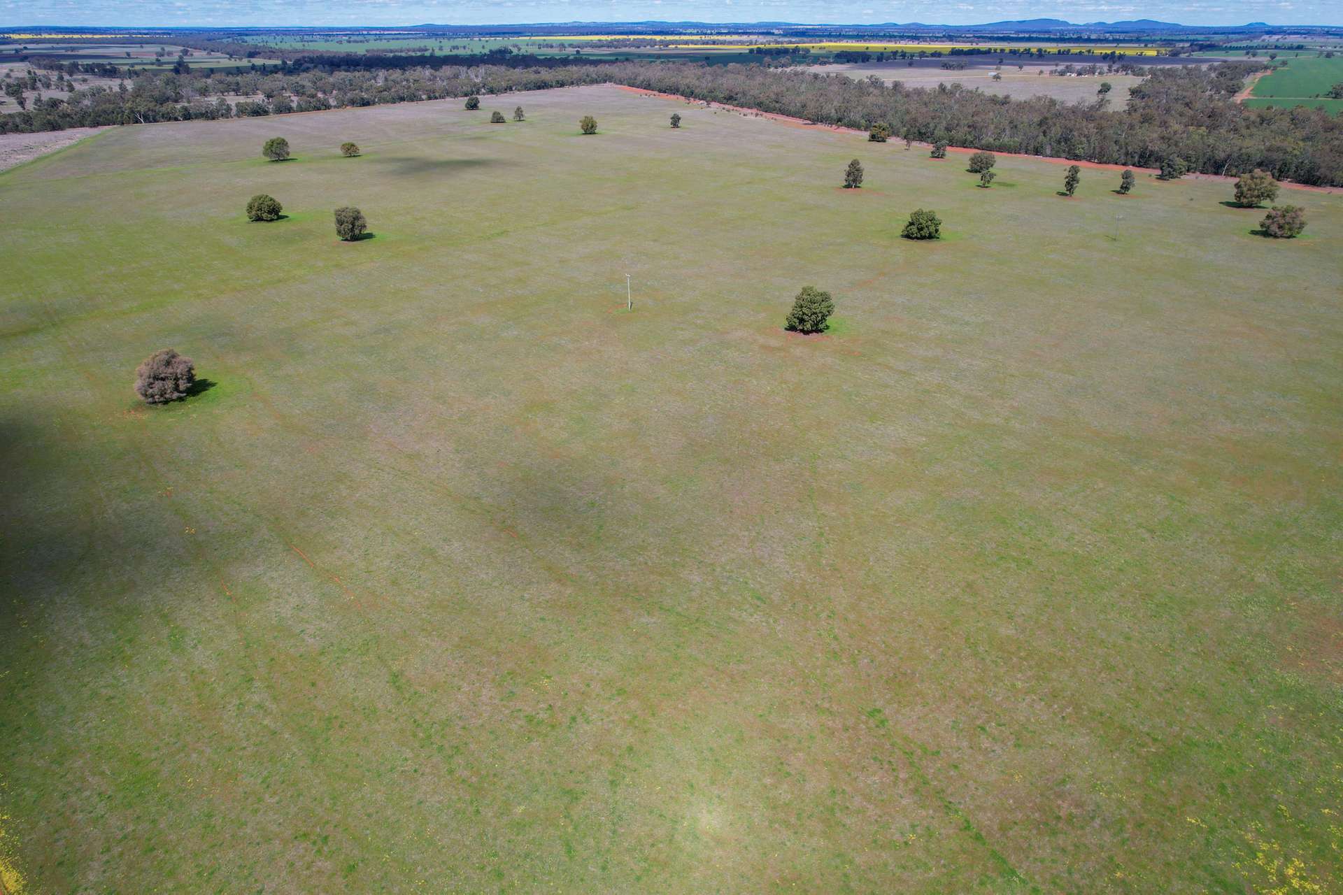 120 Melrose Plains Road, Fifield For Sale by Farmbuy.com - image 10