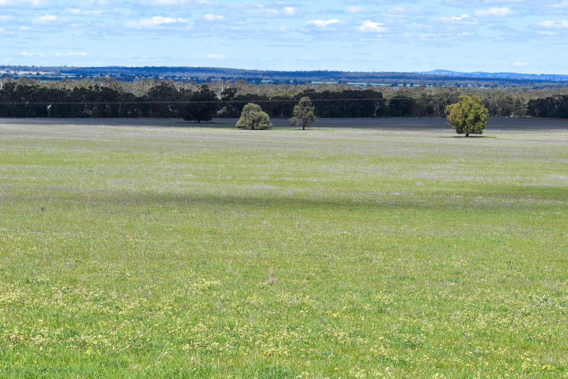 120 Melrose Plains Road, Fifield For Sale by Farmbuy.com - image 4