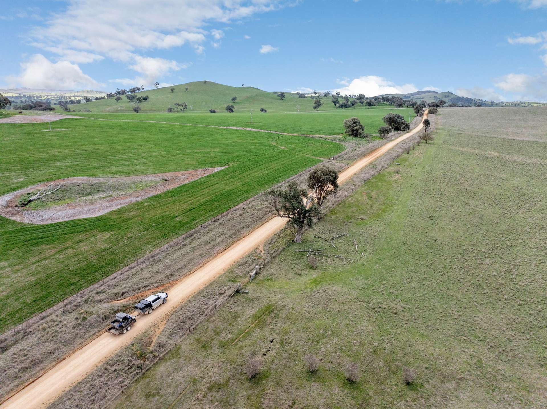 'Darmody's', 969 Brial Rd, Boorowa For Sale by Farmbuy.com - image 10