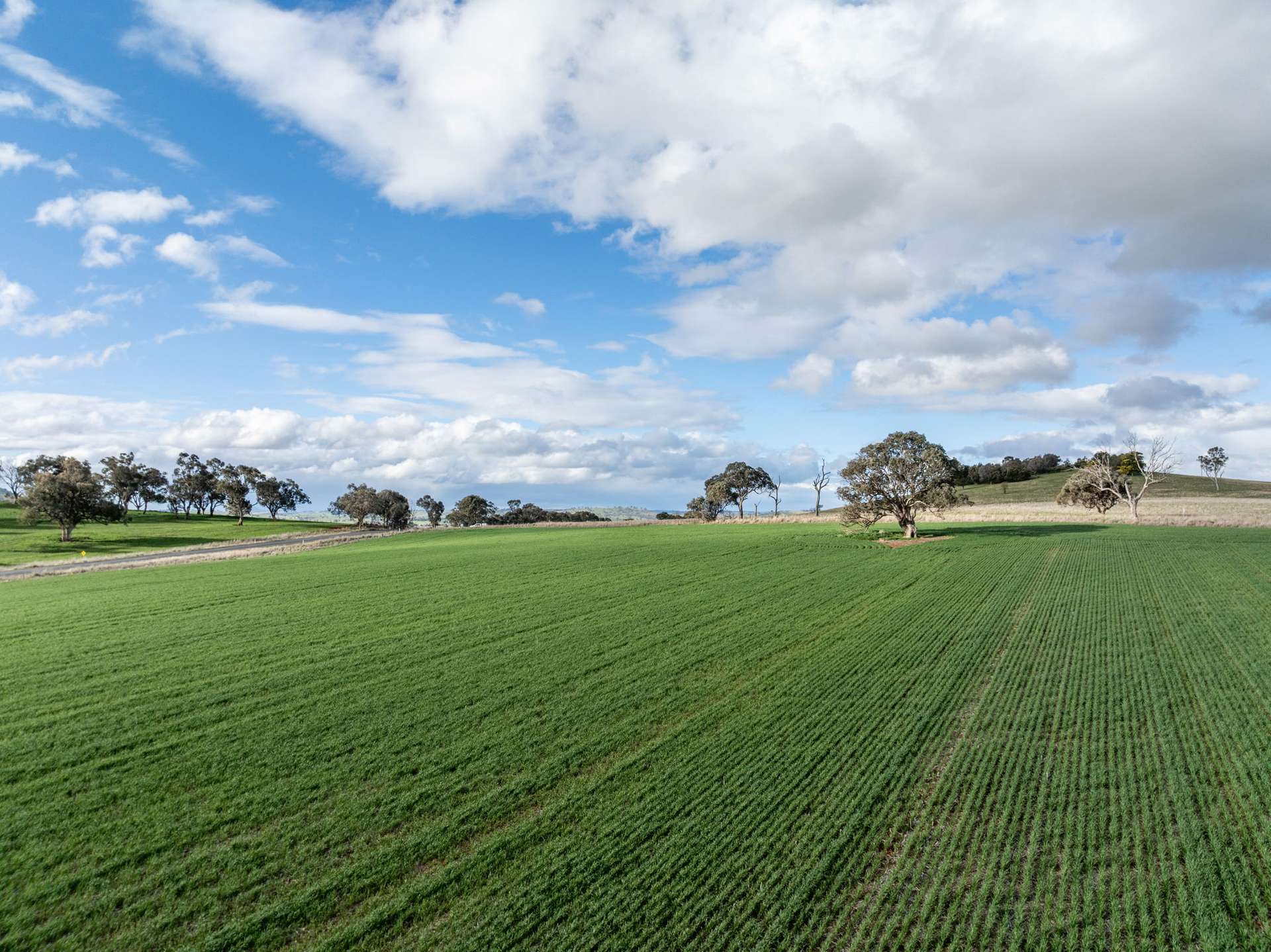'Darmody's', 969 Brial Rd, Boorowa For Sale by Farmbuy.com - image 21