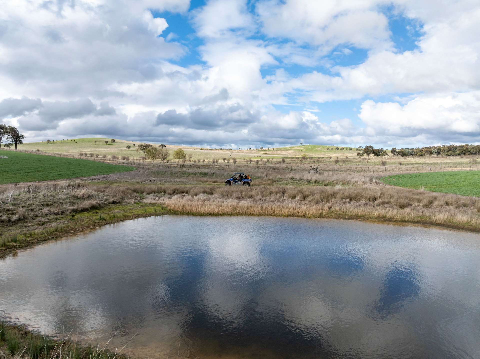 'Darmody's', 969 Brial Rd, Boorowa For Sale by Farmbuy.com - image 5