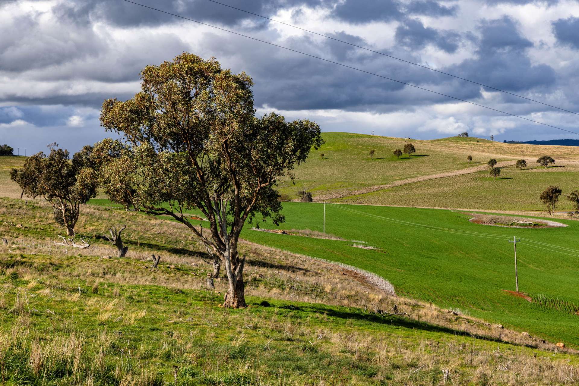 'Darmody's', 969 Brial Rd, Boorowa For Sale by Farmbuy.com - image 14