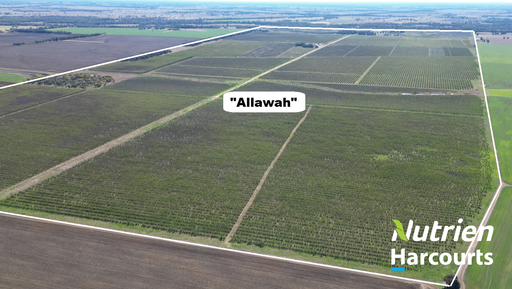 Farm Sold - QLD - Canaga - 4413 - Sold Under The Hammer 